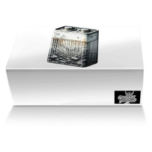 Load image into Gallery viewer, “coRRosioN"